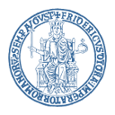 Logo of the University of Naples